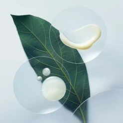 Aveda Botanical Repair™ Strengthening Shampoo -Soins Capillaires aveda botanical repair strengthening shampoo shampoing fortifiant pour cheveux abimes 3