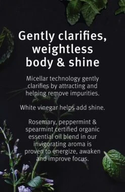 Aveda Rosemary Mint Purifying Shampoo -Soins Capillaires aveda rosemary mint purifying shampoo shampoing nettoyant en profondeur brillance 4