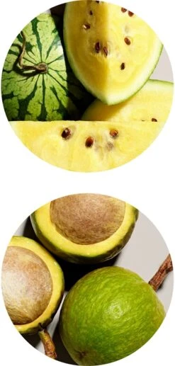 Aveda Smooth Infusion™ Perfect Blow Dry 22 Aveda Smooth Infusion™ Perfect Blow Dry -Soins Capillaires aveda smooth infusion perfect blow dry spray brushing disciplinant anti frisottis 6