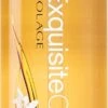 Biolage Advanced ExquisiteOil -Soins Capillaires biolage advanced exquisiteoil huile nourrissante pour tous types de cheveux 23