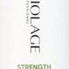 Biolage Strength Recovery