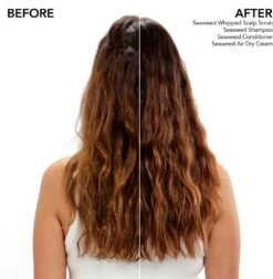 Bumble And Bumble Seaweed Air Dry Leave-In 12 Bumble And Bumble Seaweed Air Dry Leave-In -Soins Capillaires bumble and bumble seaweed air dry leave in creme coiffante a lextrait dalgues marines 4