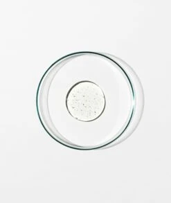 Grown Alchemist Anti-Frizz Shampoo 0.5 -Soins Capillaires grown alchemist anti frizz shampoo 0 5 shampoing pour cheveux indisciplines et frisottis 2