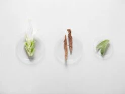 Kérastase Fusio Scrub Énergisant -Soins Capillaires kerastase fusio scrub energisant gelee exfoliante pour cuir chevelu gras 2