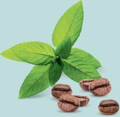 Londa Professional Vital Booster -Soins Capillaires londa professional vital booster serum fortifiant et regenerant pour cheveux pour cheveux abimes 4