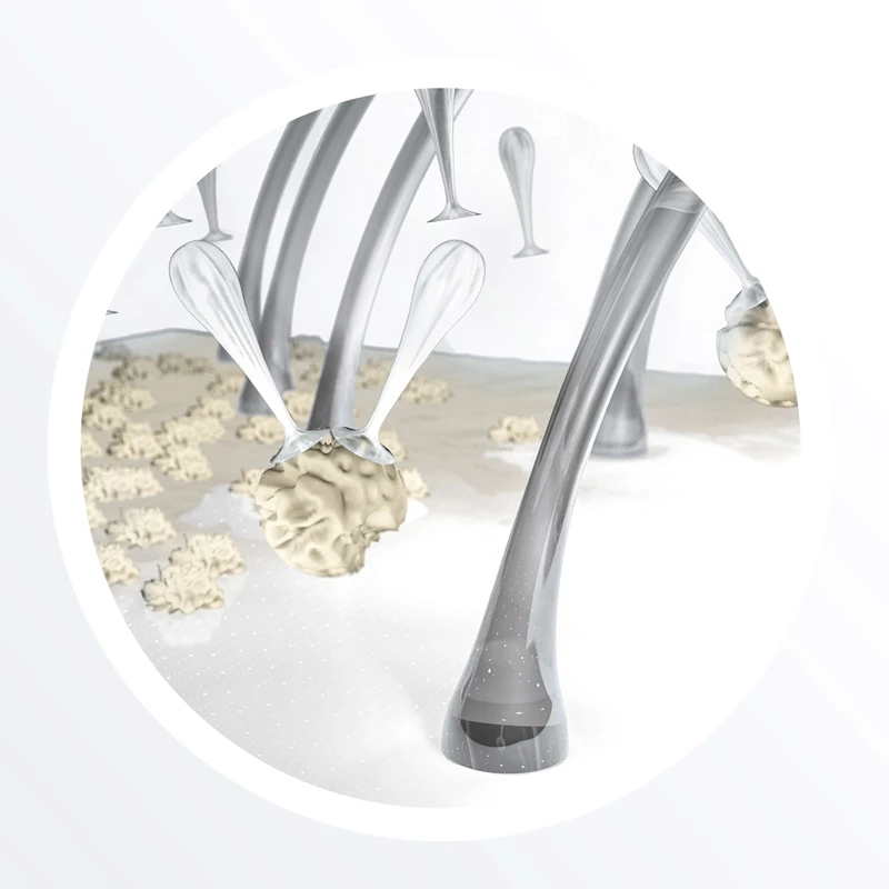 Nioxin System 2 Scalp & Hair Treatment 7 Nioxin System 2 Scalp & Hair Treatment – Image 5