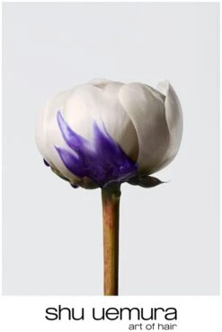 Shu Uemura Yūbi Blonde Shampoo -Soins Capillaires shu uemura yubi blonde shampoo shampoing brillance pour cheveux blonds et gris 5